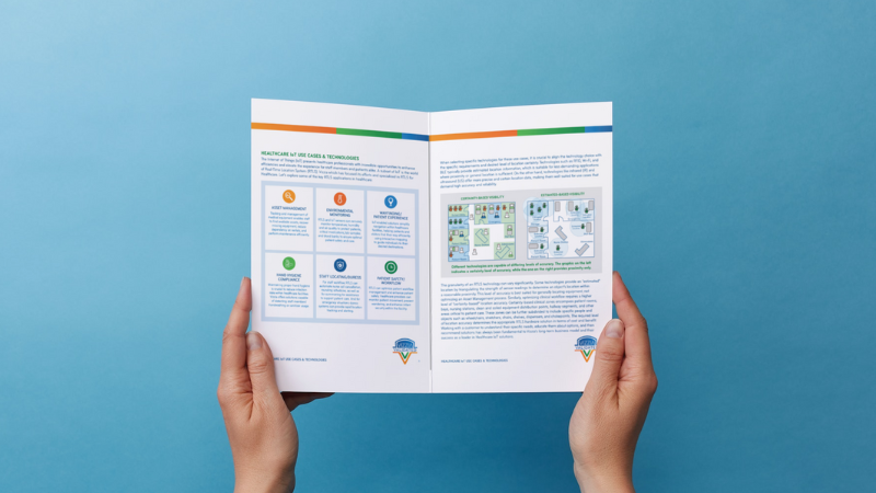 Vizzia Internet of Things (IoT) Laboratory White Paper